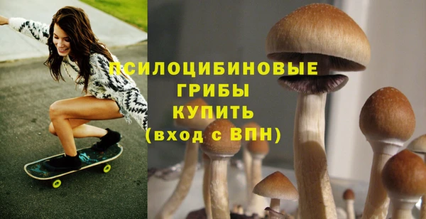 MDMA Козловка