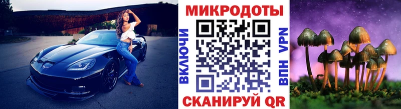 Галлюциногенные грибы Psilocybine cubensis  Купить закладки  Красный Кут 